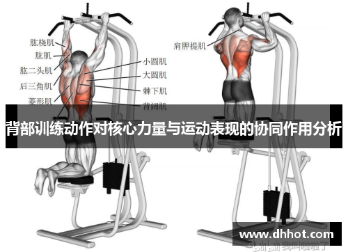 背部训练动作对核心力量与运动表现的协同作用分析